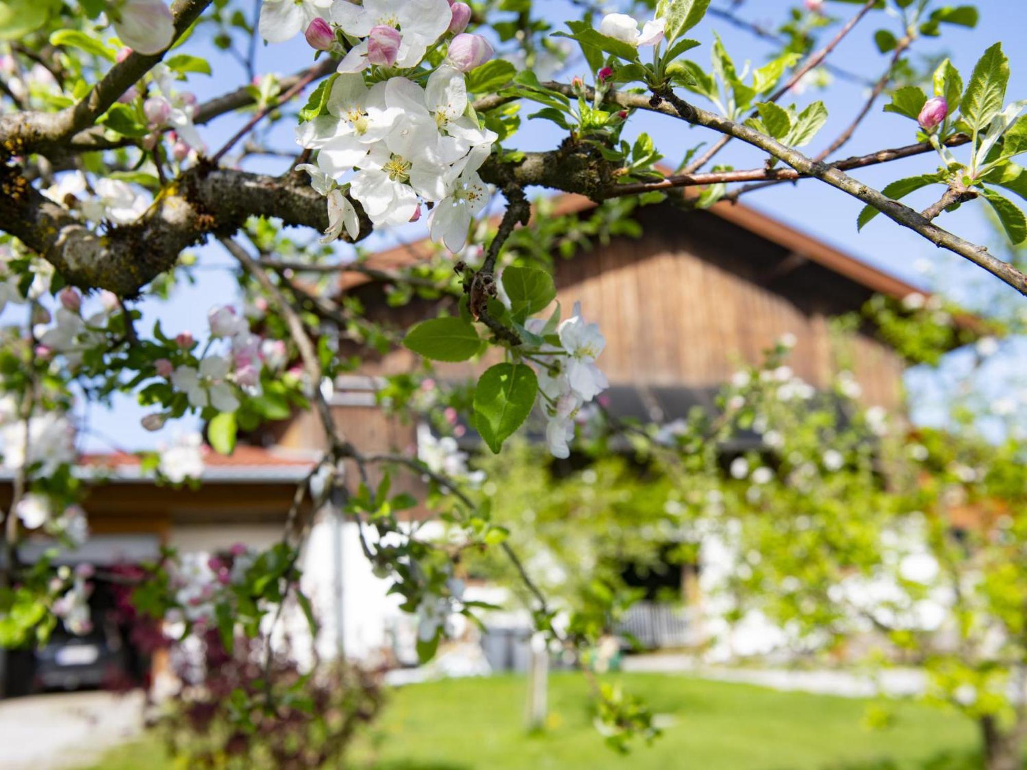 SchwoichAuszeit Am Bauernhofアパートメント エクステリア 写真